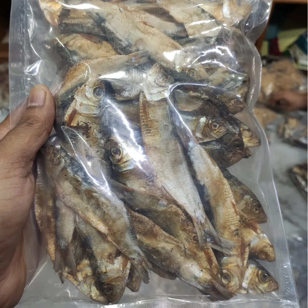 চাপিলা শুঁটকি (Chapila Dry Fish)-image